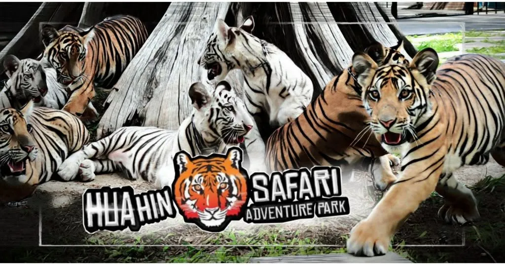 ที่เที่ยวชะอำ หัวหิน ห้ามพลาดแนะนำไปได้ทั้งวัน-กลางคืน ที่เที่ยวชะอำ หัวหิน ห้ามพลาดแนะนำไปได้ทั้งวัน-กลางคืน